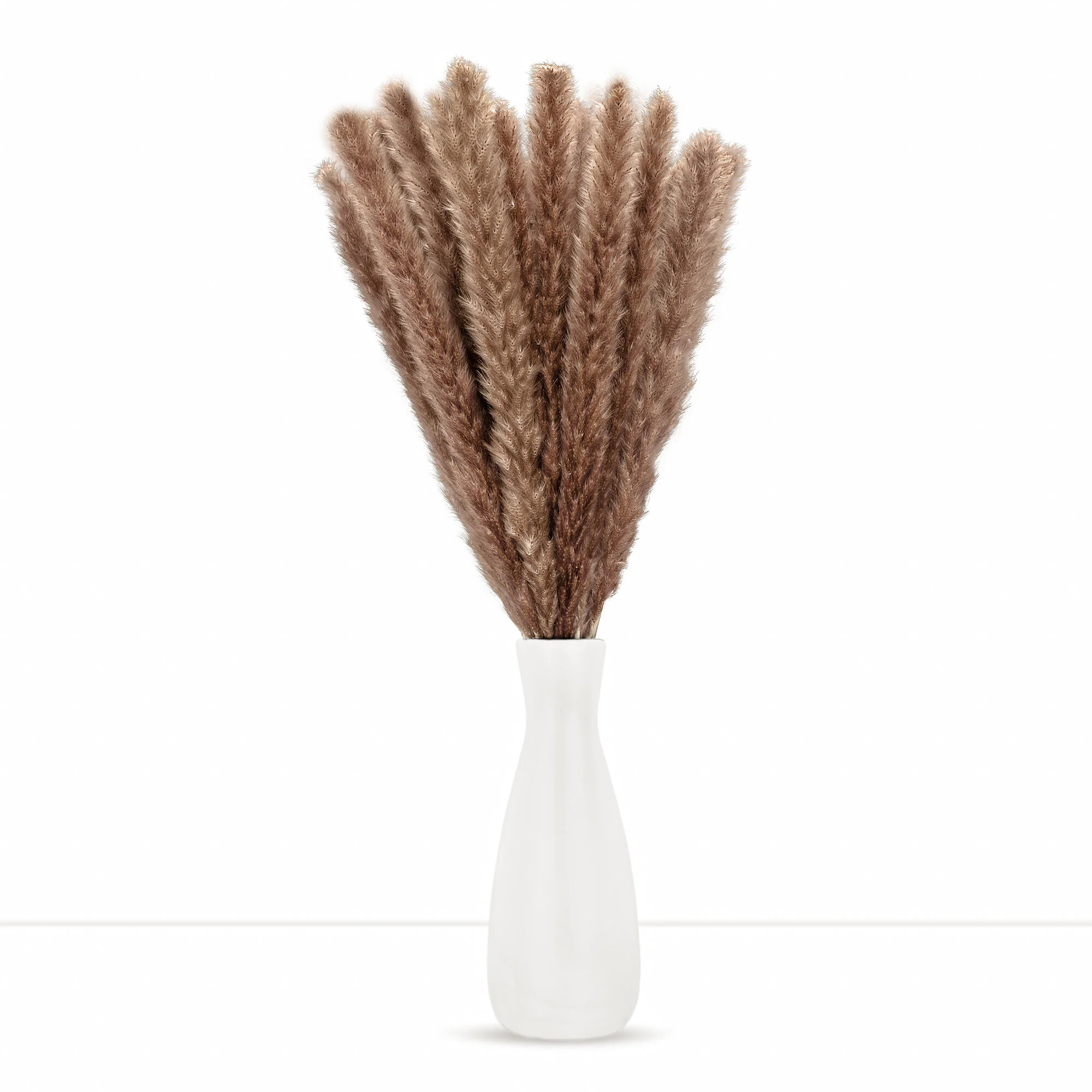 Brown Pampas Grass2.jpg