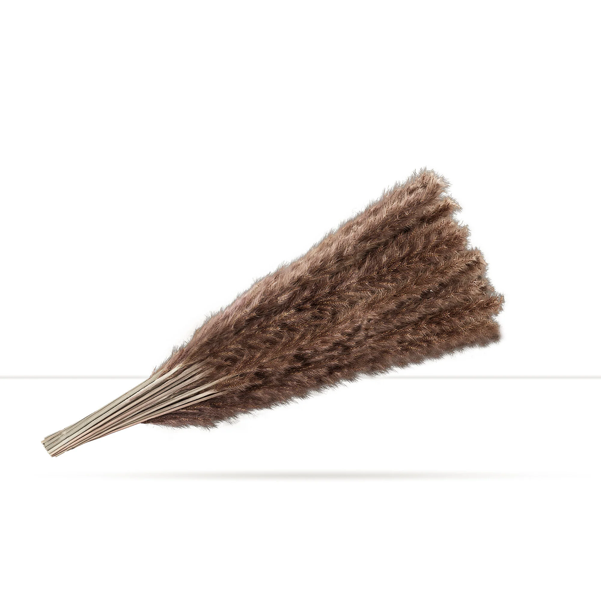 Brown Pampas Grass3.jpg