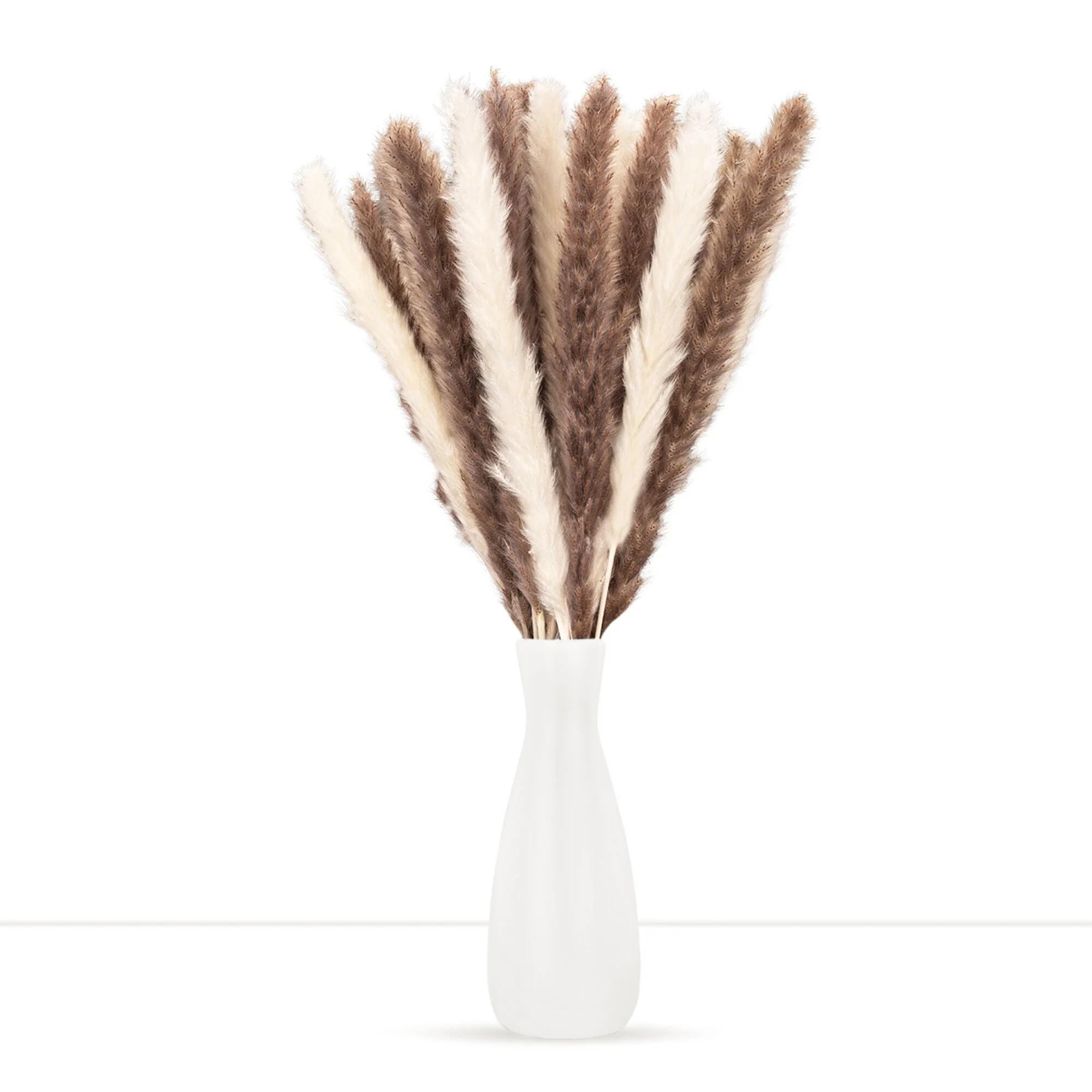 Mix Pampas Grass1.jpg