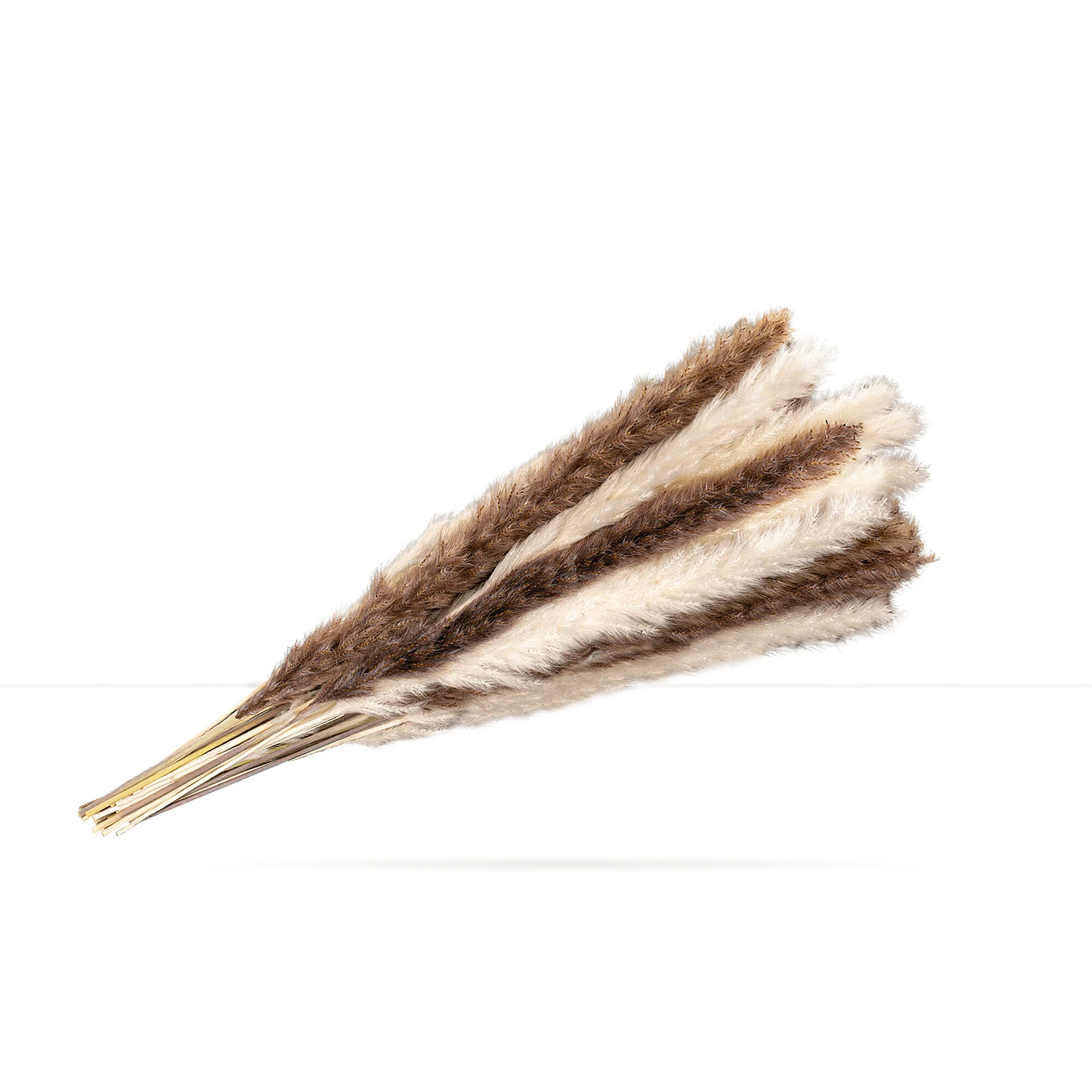 Mix Pampas Grass3.jpg
