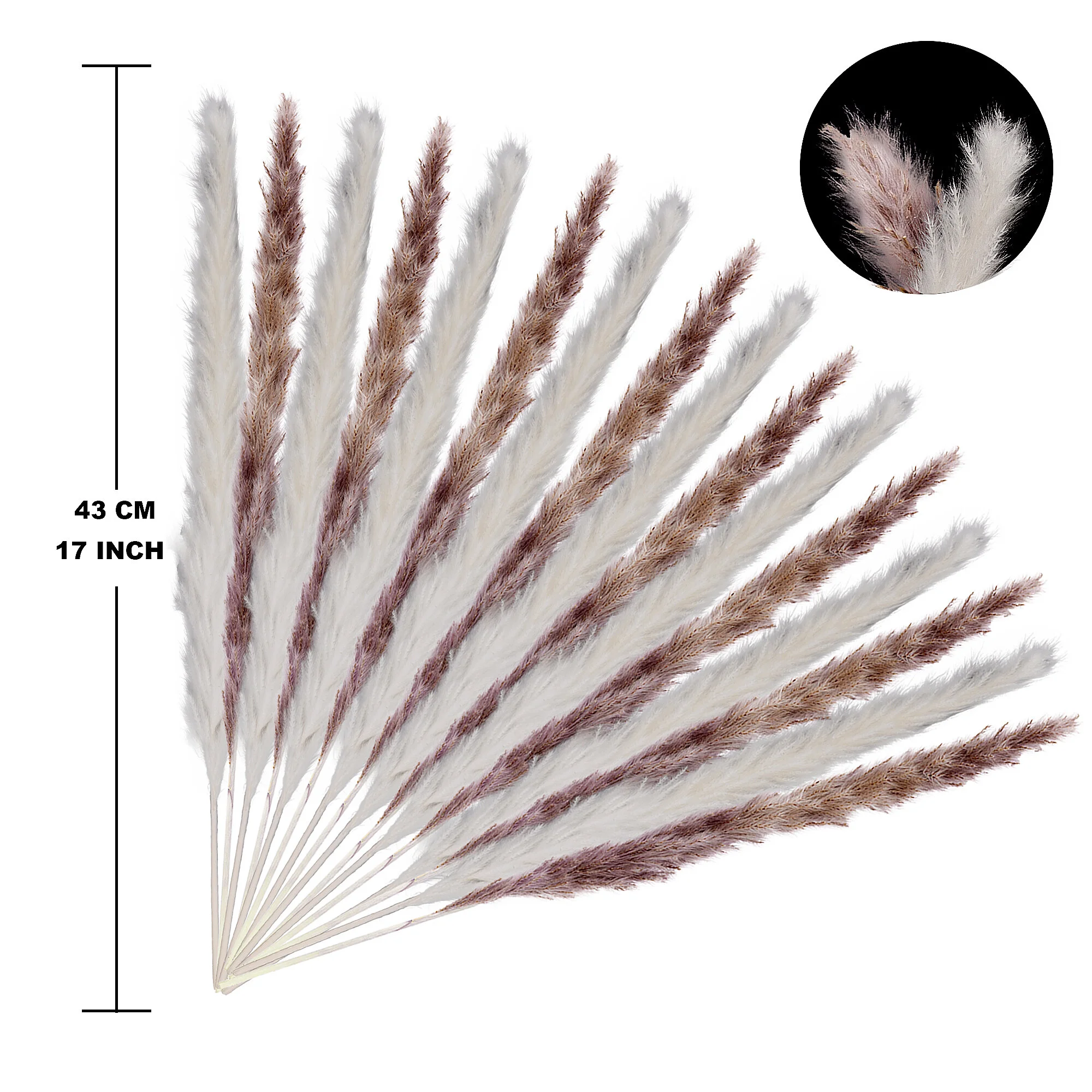Mix Pampas Grass8.jpg