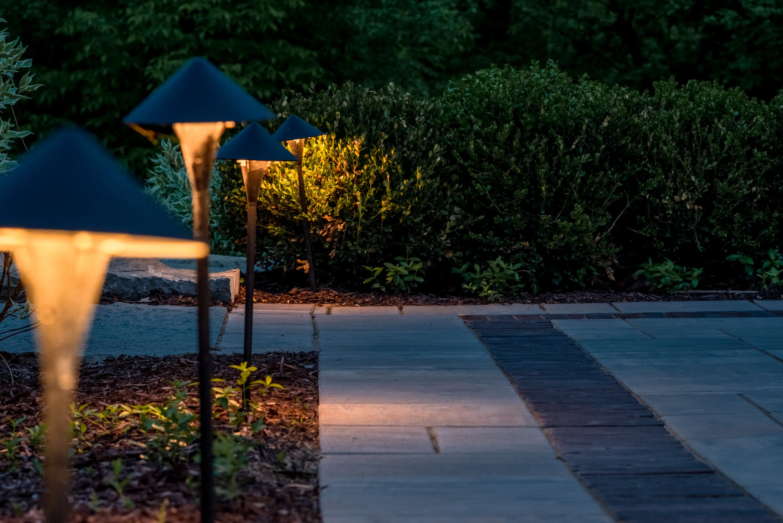 DSC_6154-HDR.jpg