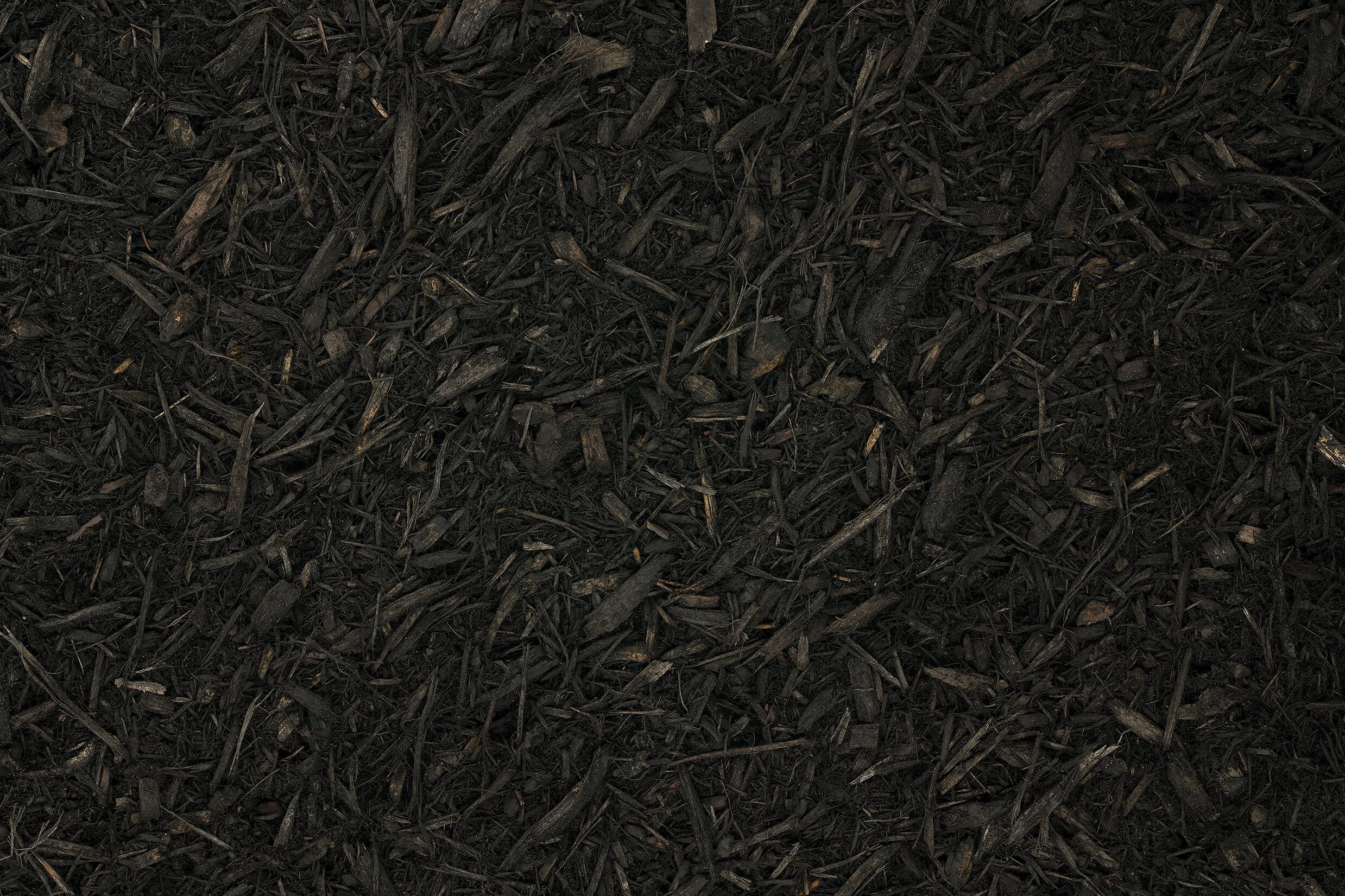 DYED-BLACK.jpg