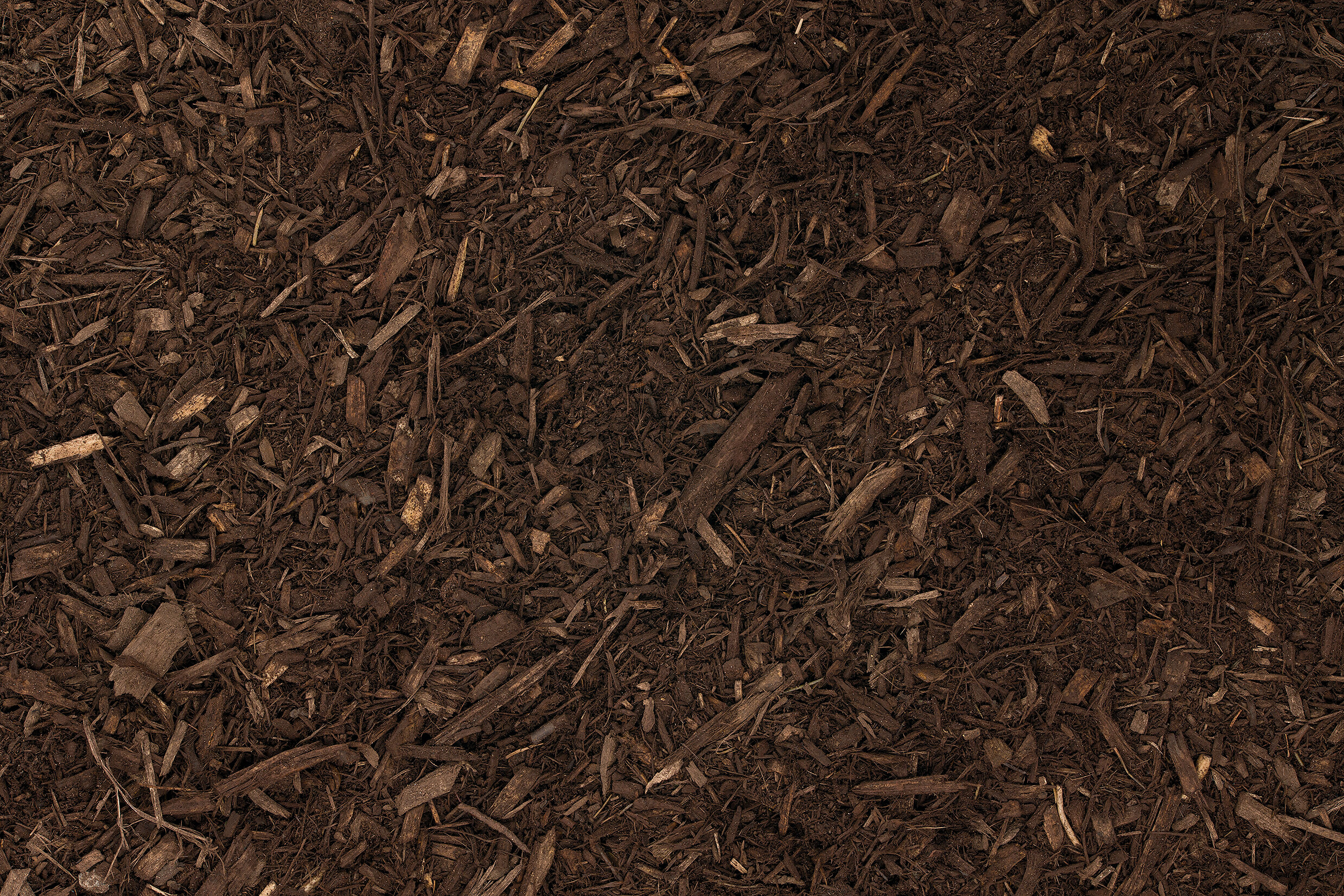 DYED-COCOA.jpg