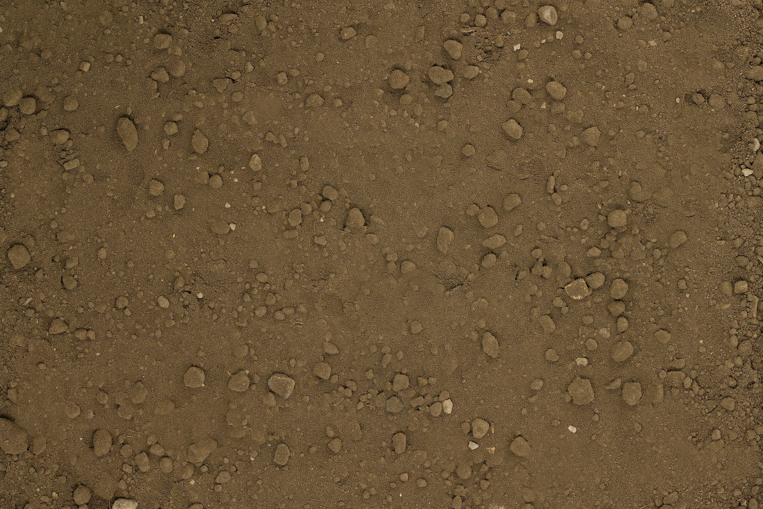 SCREENED-TOPSOIL.jpg