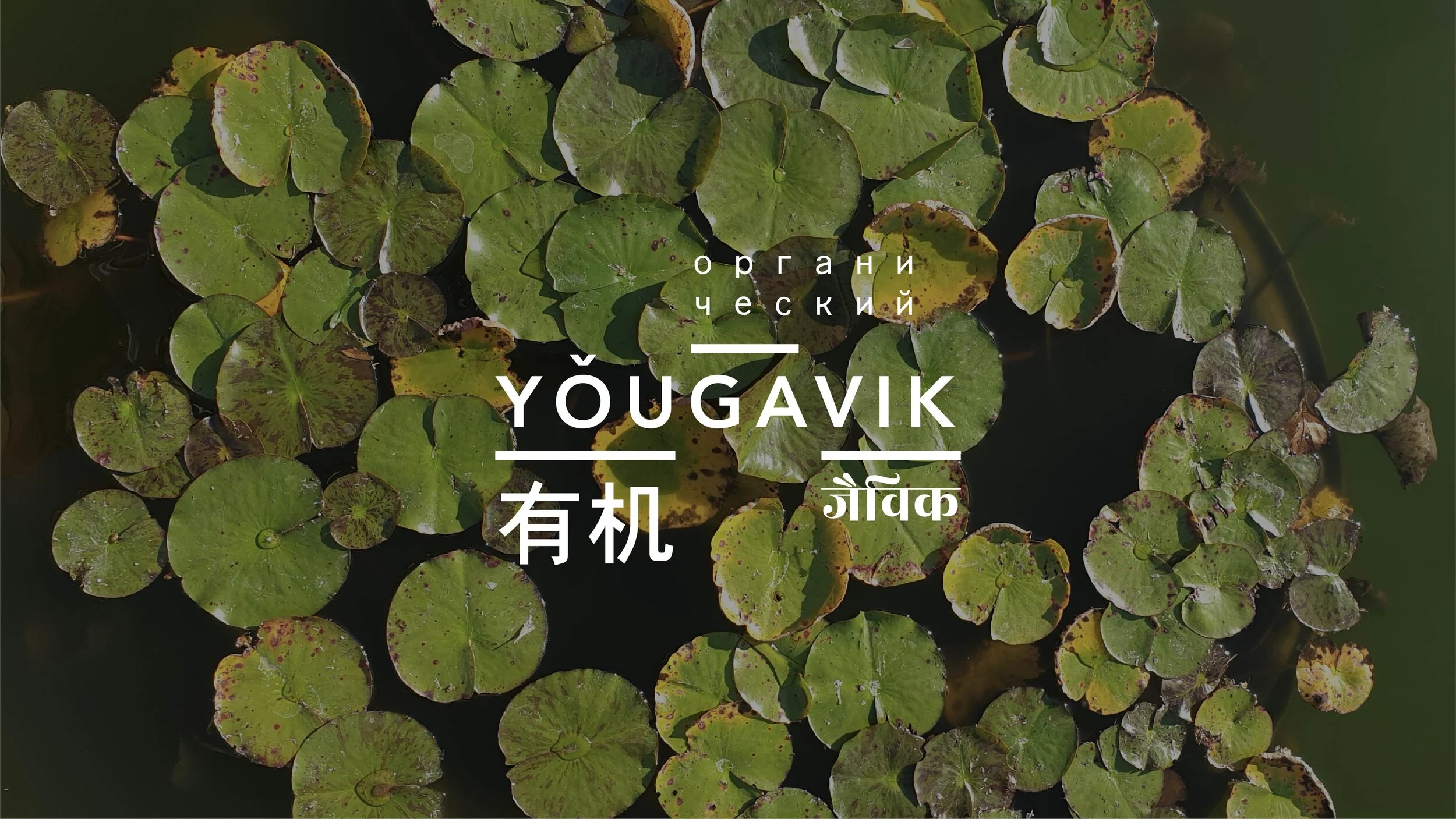 Yougavik Final Presentation-19.jpg