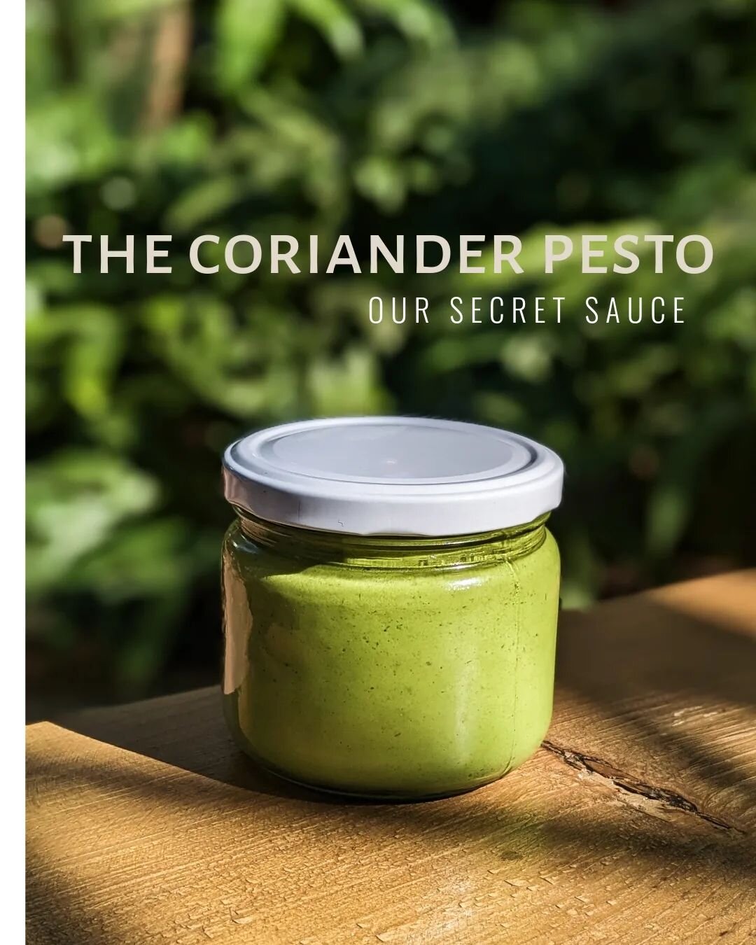 Revealing our tartine's secret layer of flavour : Coriander Pesto

The first layer spread on our crusty bread, has fresh coriander, roasted nuts, olive oil, garlic and zesty lime for the subtle kick. We believe that layering flavours is the key to al