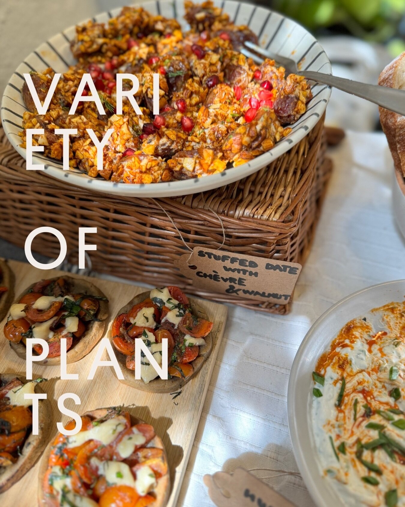 💫Variety of Plants is what we are all about at C+C. However you define your eating style (veg/non-veg/vegan or anything in between), you&rsquo;ll find something you love on our menu!
.
🌱 We can&rsquo;t wait to nourish you with the wide variety of w