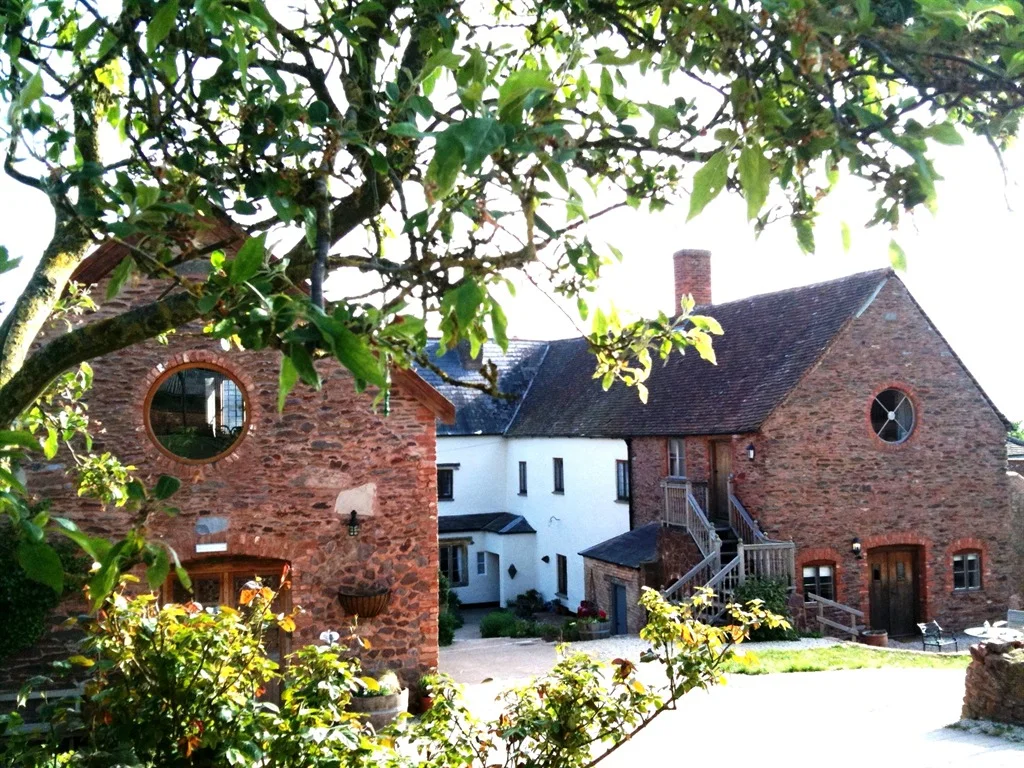 Cafe and Apple Loft.jpg