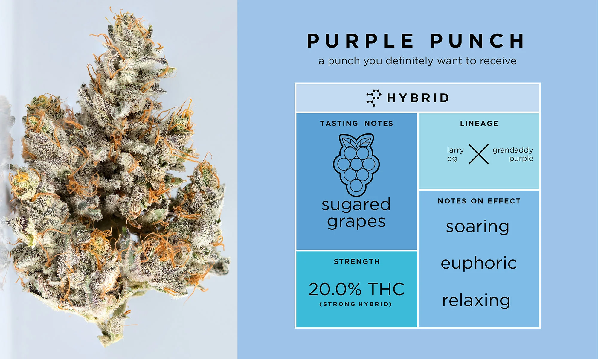 THC DESIGN — Edgar Rios: Graphic Designer, Illustrator & Problem Solver