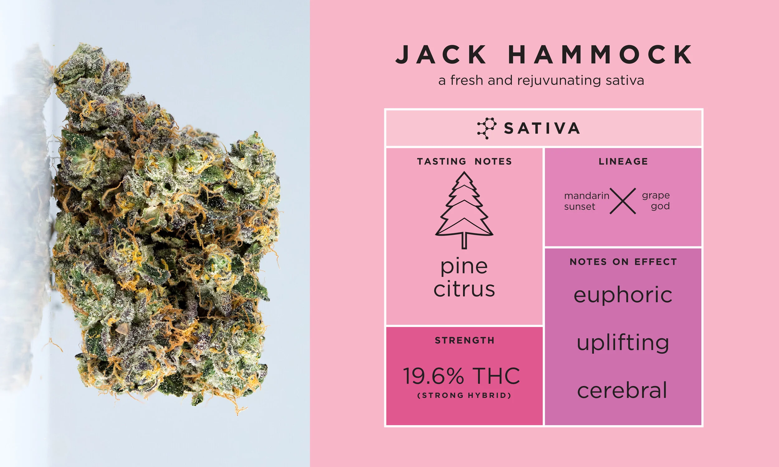 THC DESIGN — Edgar Rios: Graphic Designer, Illustrator & Problem Solver