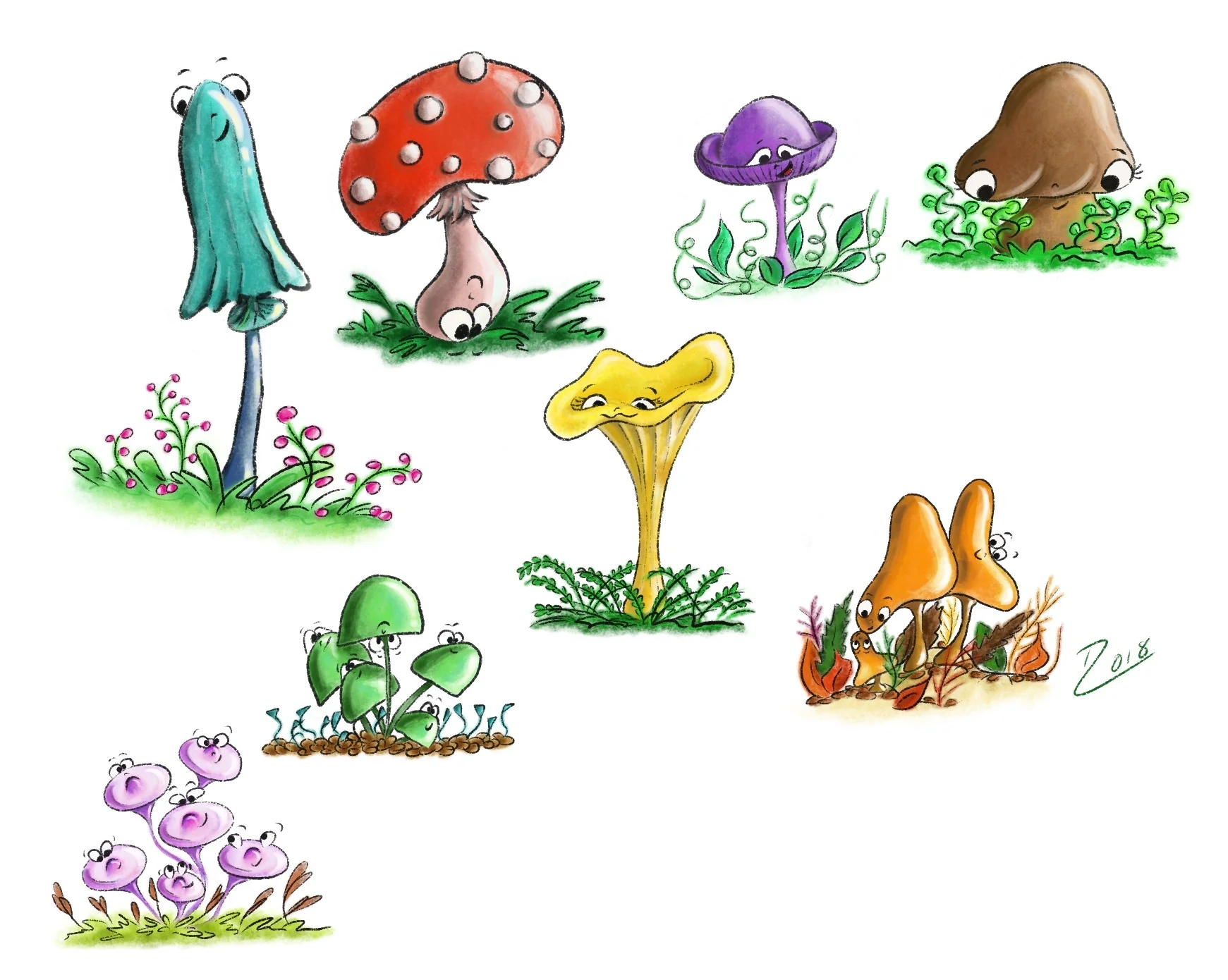 Mushrooms in the forest
