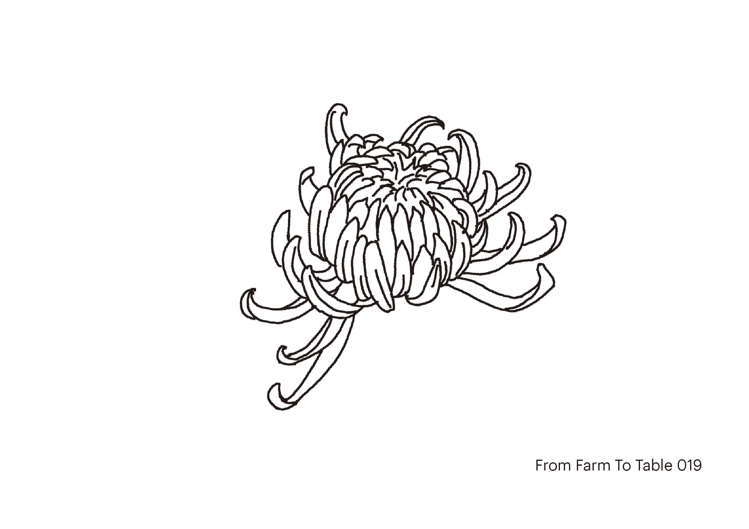 farm to table - Don_s drawing-19web.jpg