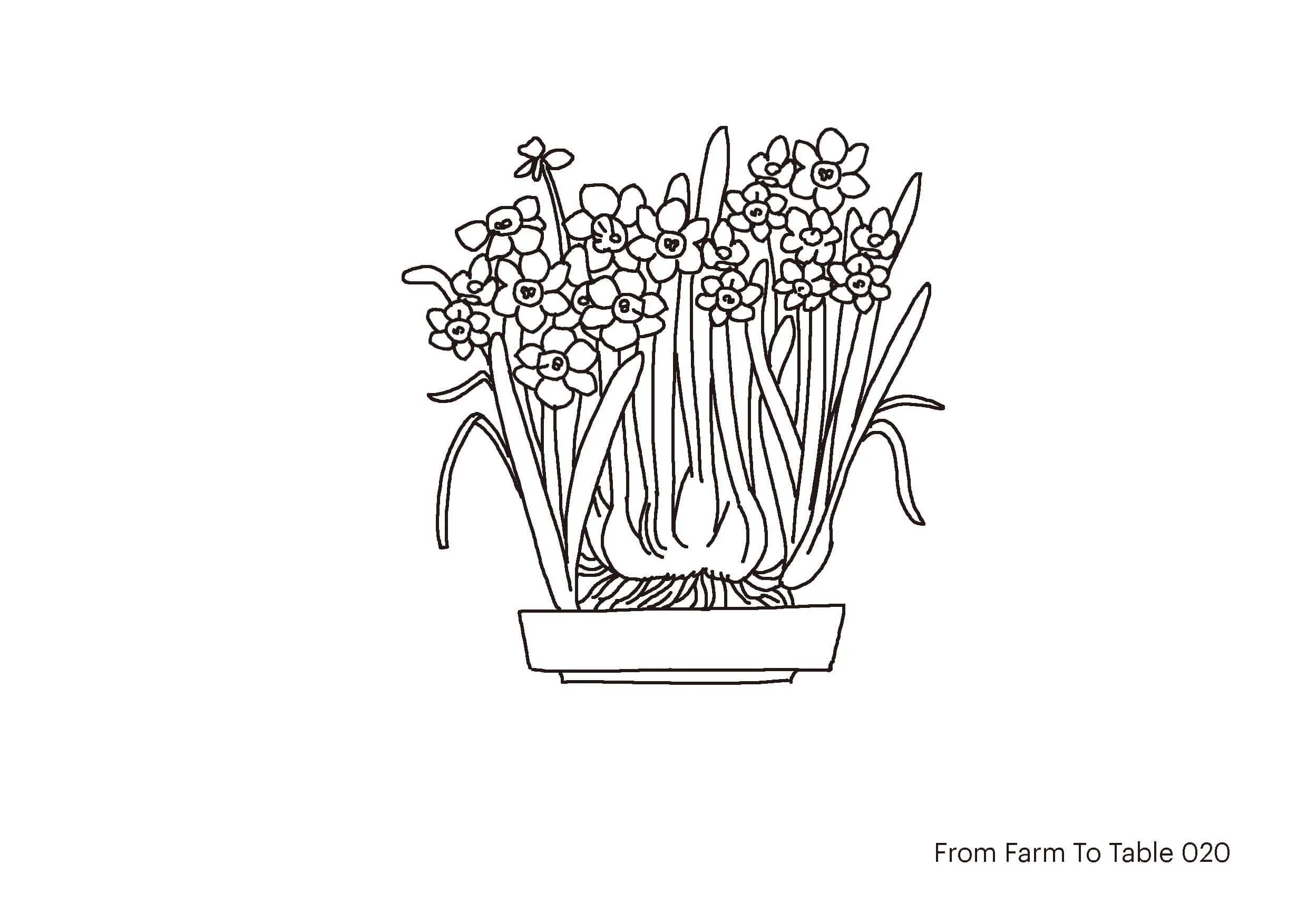 farm to table - Don_s drawing-20web.jpg