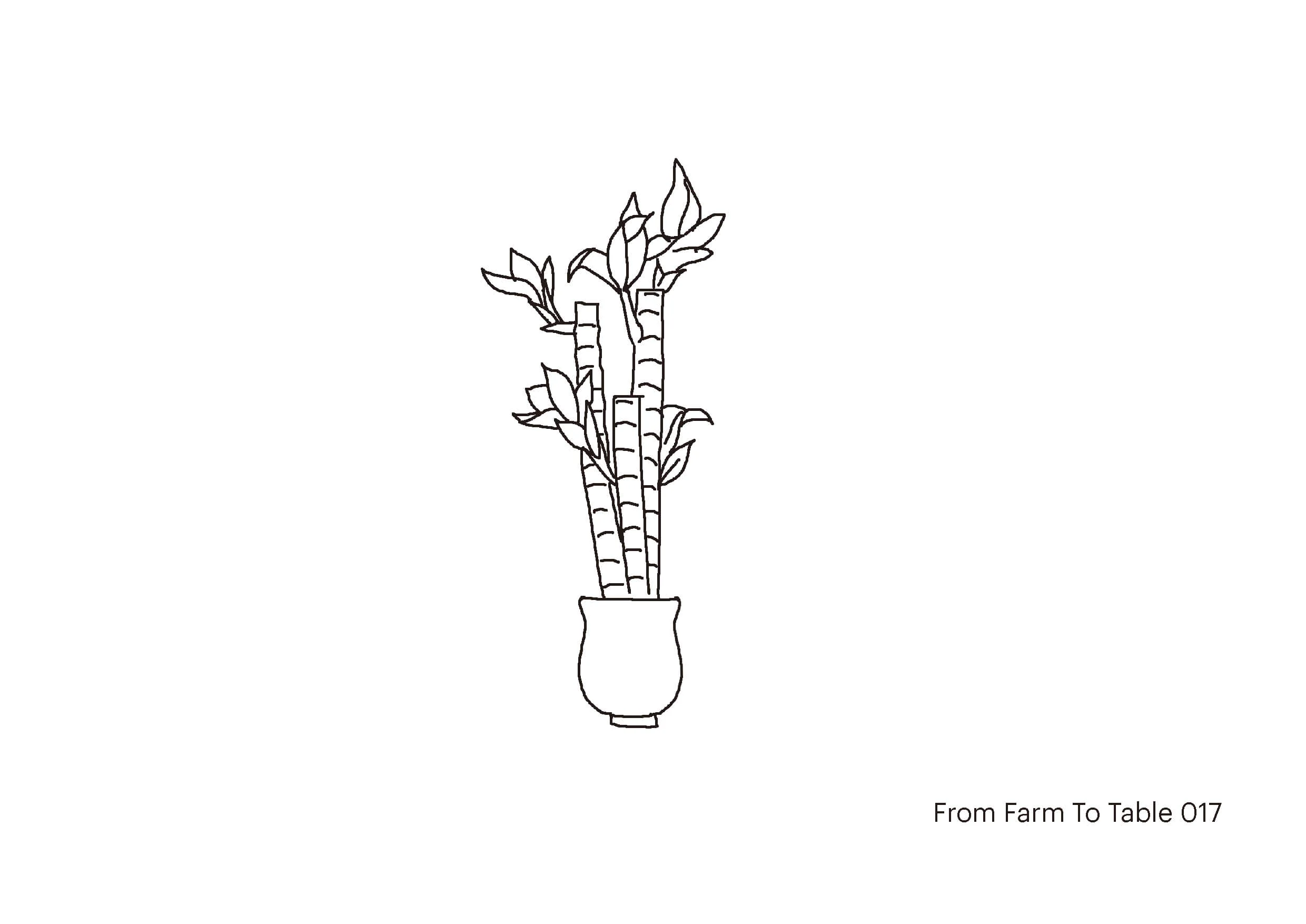 farm to table - Don_s drawing-17web.jpg