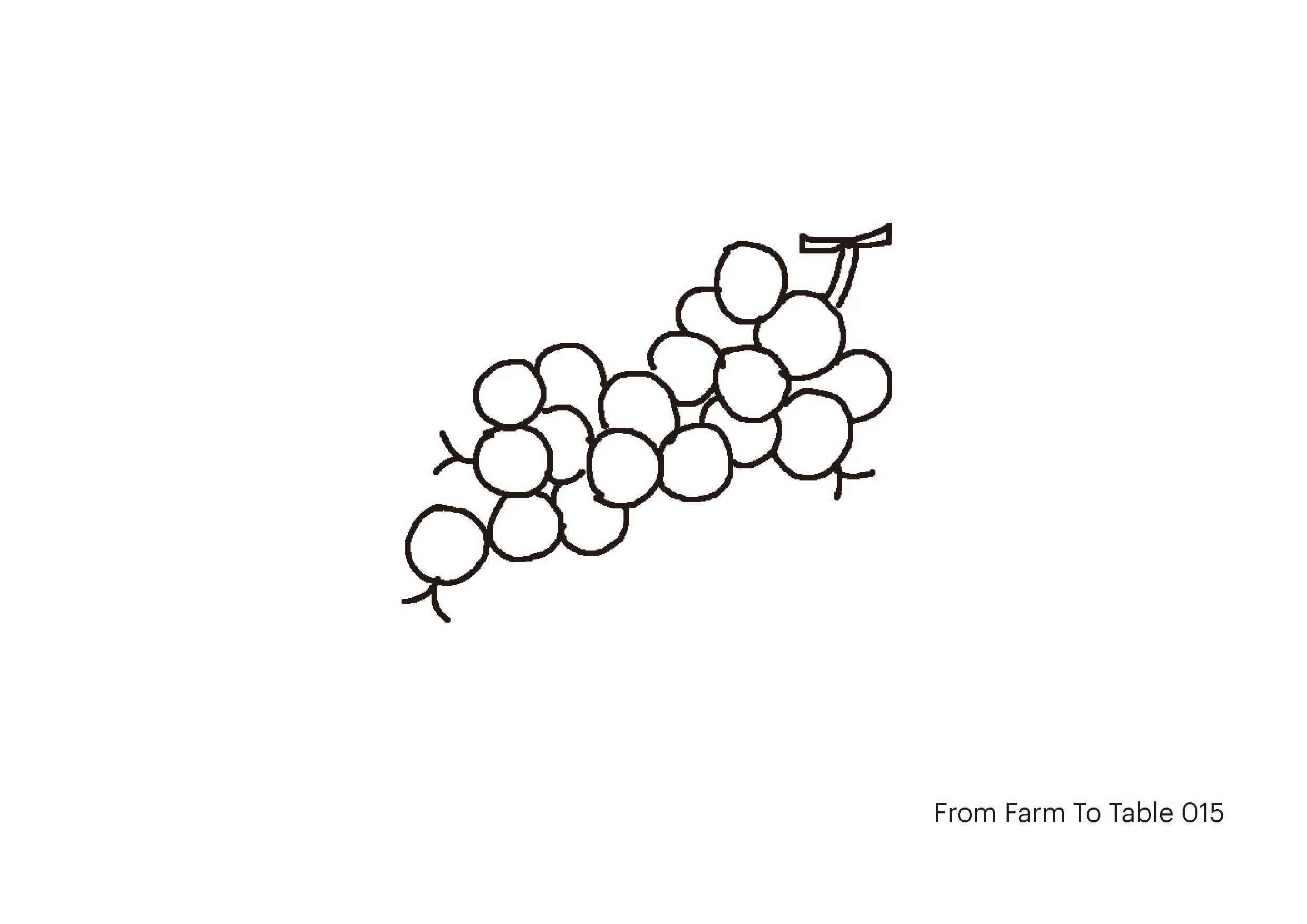farm to table - Don_s drawing-15web.jpg