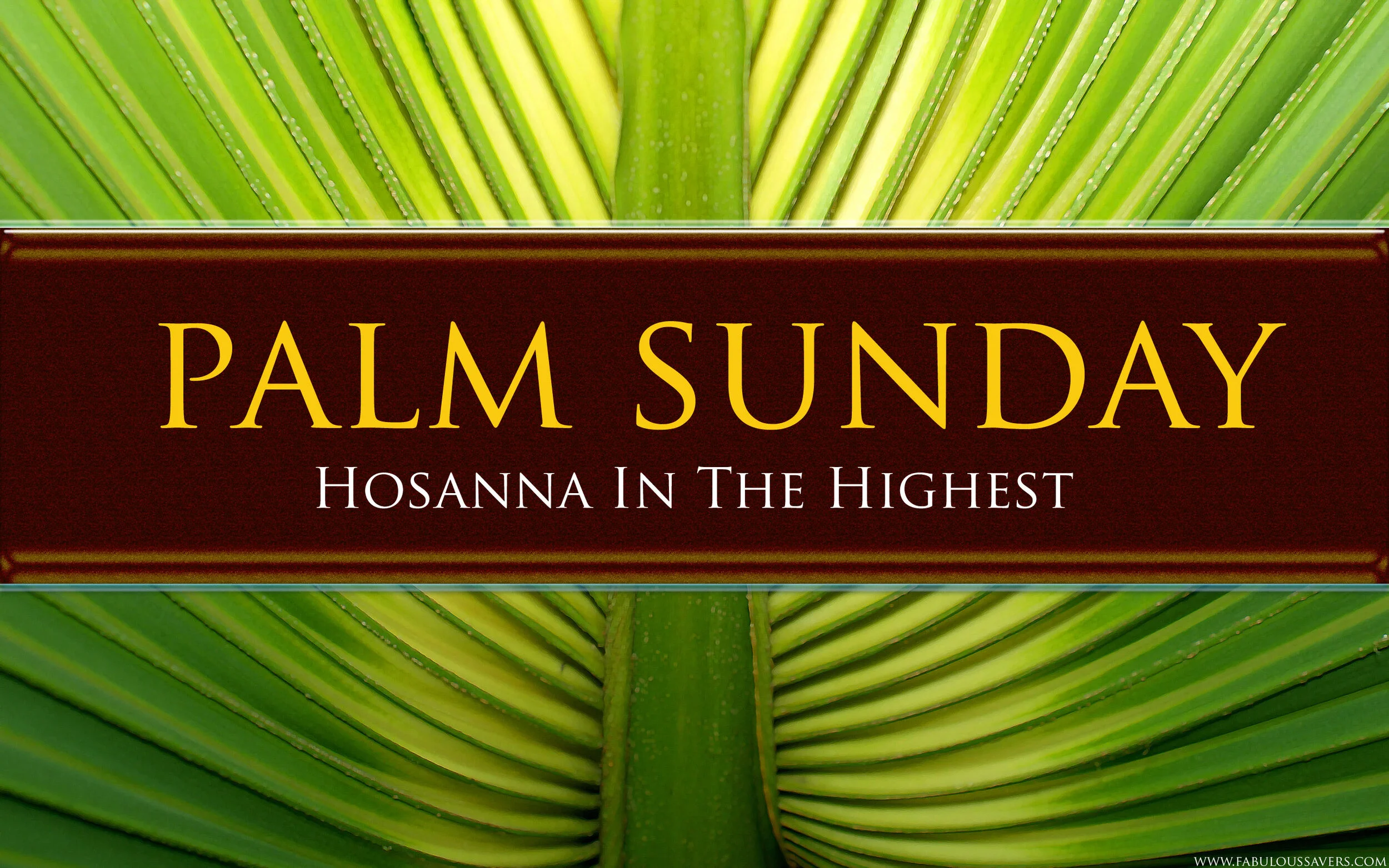 Palm Sunday Virtual Mass