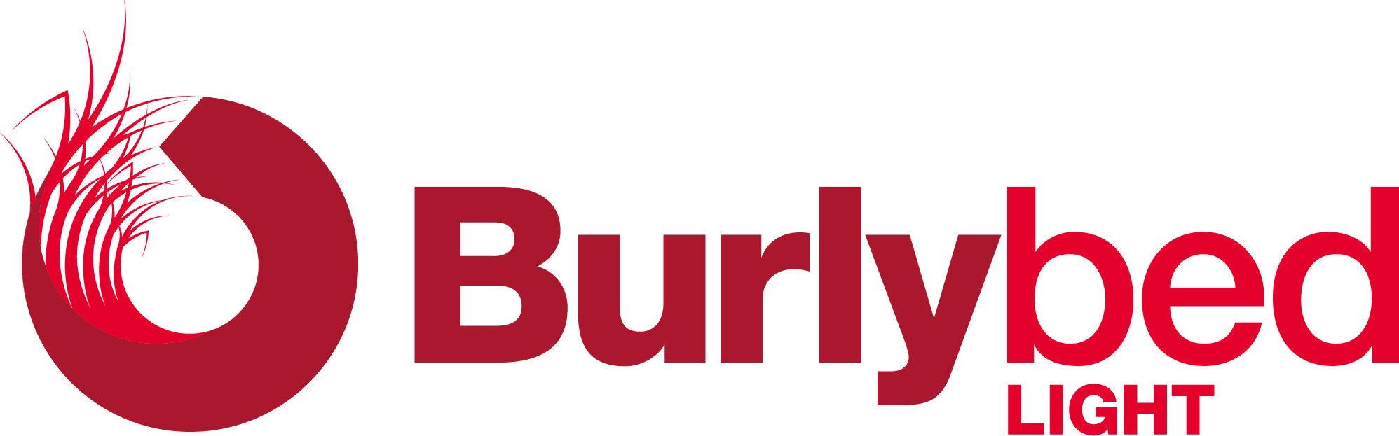 BB Light logo.png
