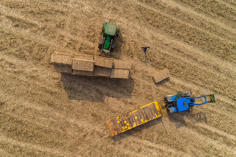 5. Miscanthus bales trailers sml.jpg