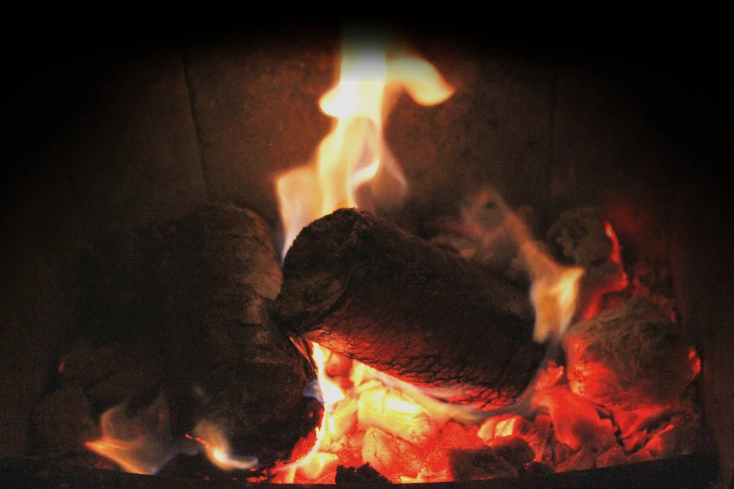 Burlyburn Heat Logs — Burlybed