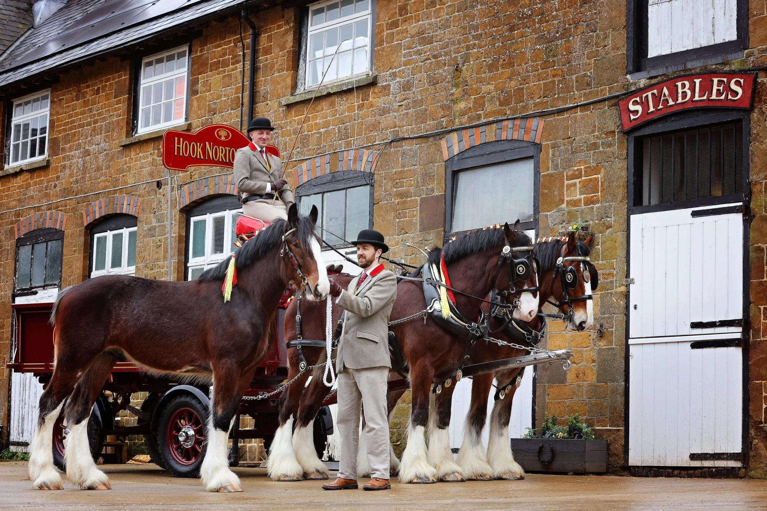 Burlybed welcomes the Hook Norton Brewery Shire Horses