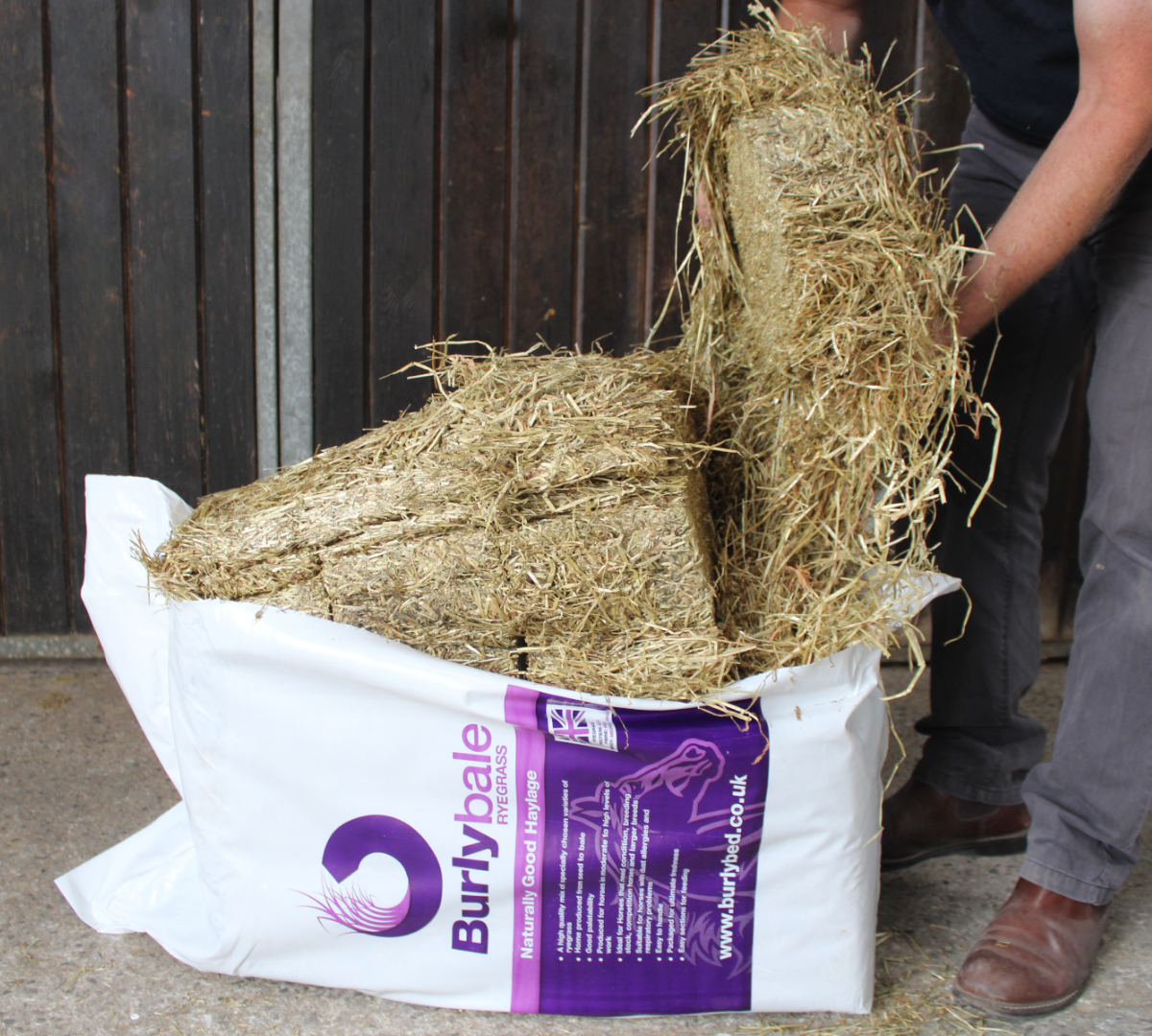 Burlybale sections.png