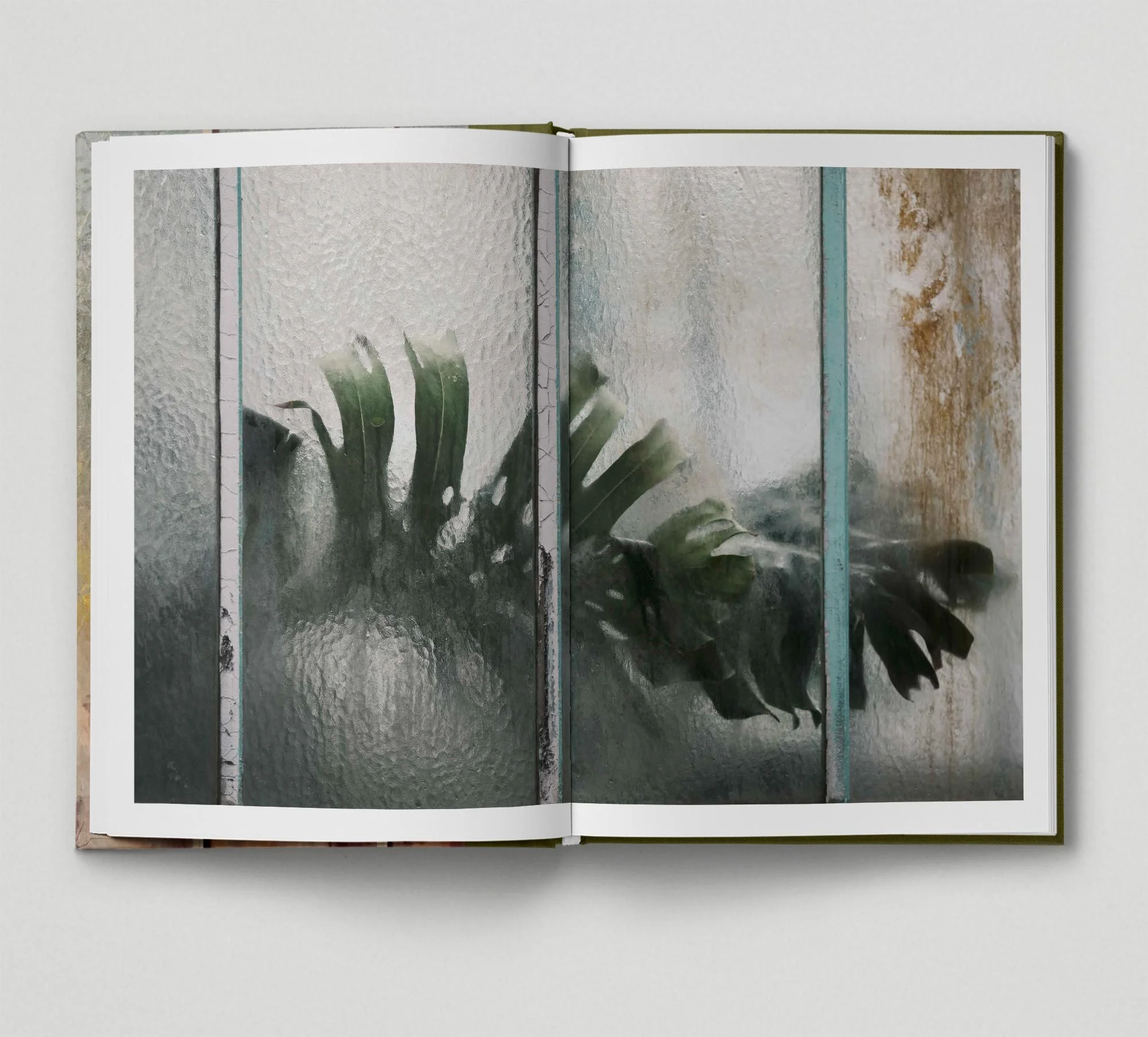 Botanical | Hoxton Mini Press | Plant Photography | Samuel Zeller | Samuel Zeller Photography | Greenhouses | Botanical Photography | The Margate Bookshop