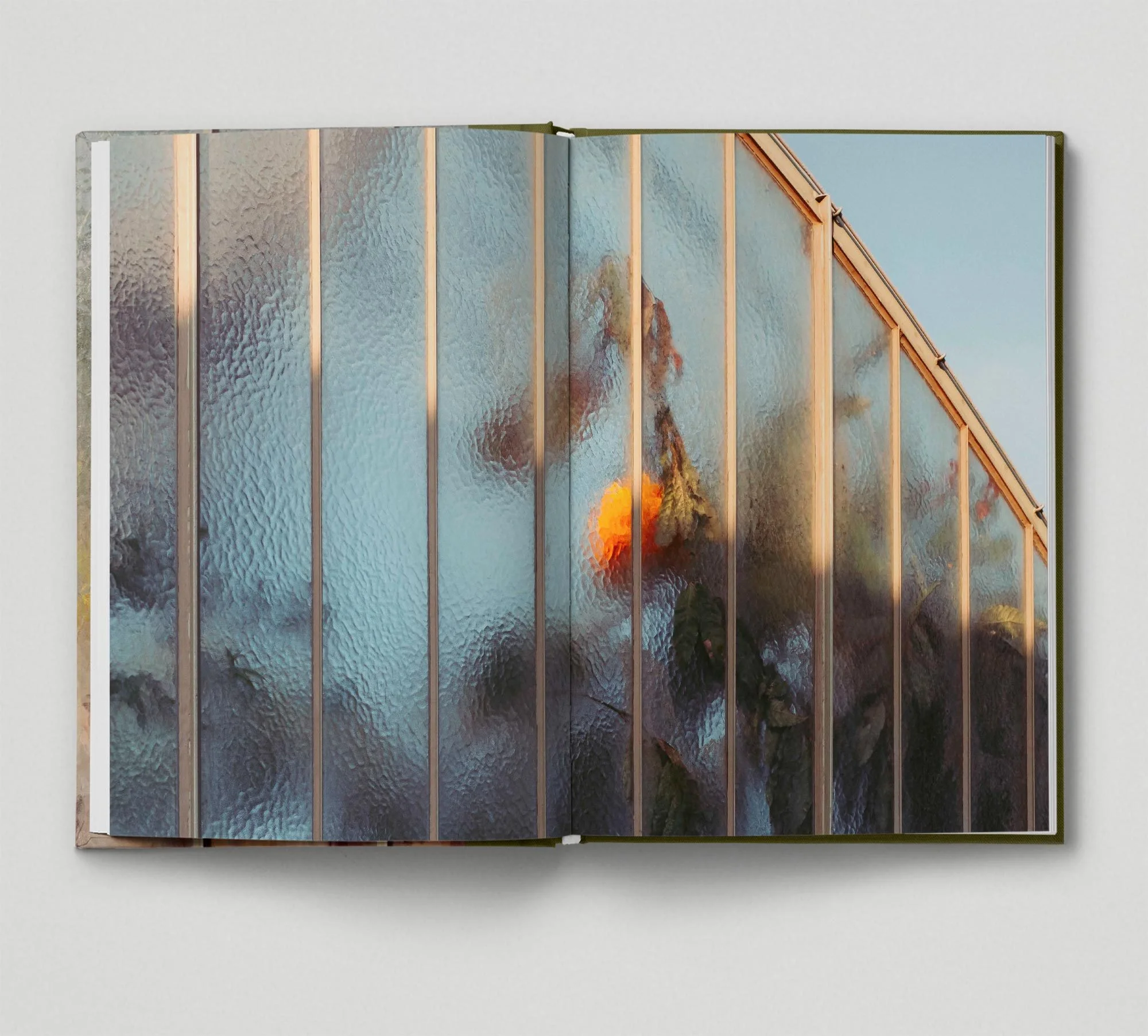 Botanical | Hoxton Mini Press | Plant Photography | Samuel Zeller | Samuel Zeller Photography | Greenhouses | Botanical Photography | The Margate Bookshop
