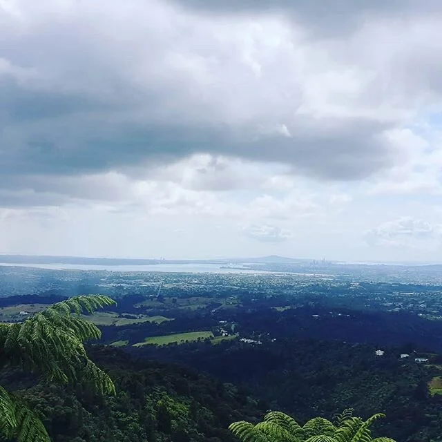 View from a job at the top of the Waitakere Ranges.