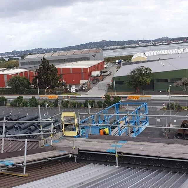 Jobs been up 1 year!