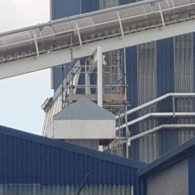 Little one that might become a big one!