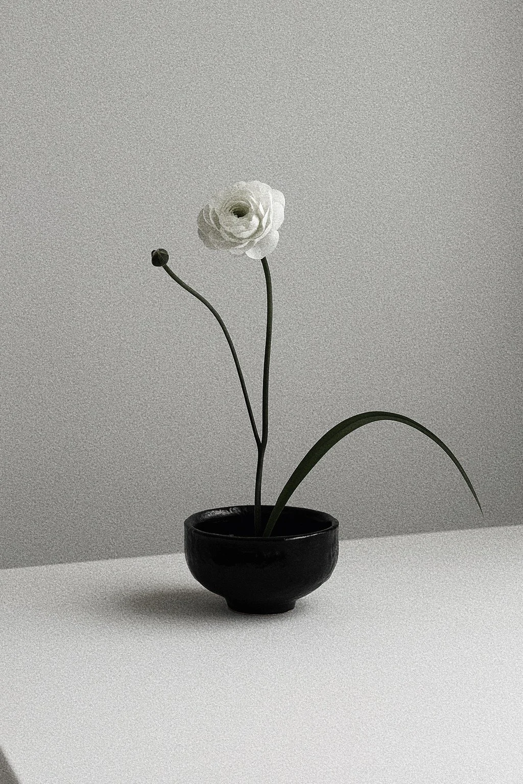 ikebana .JPG