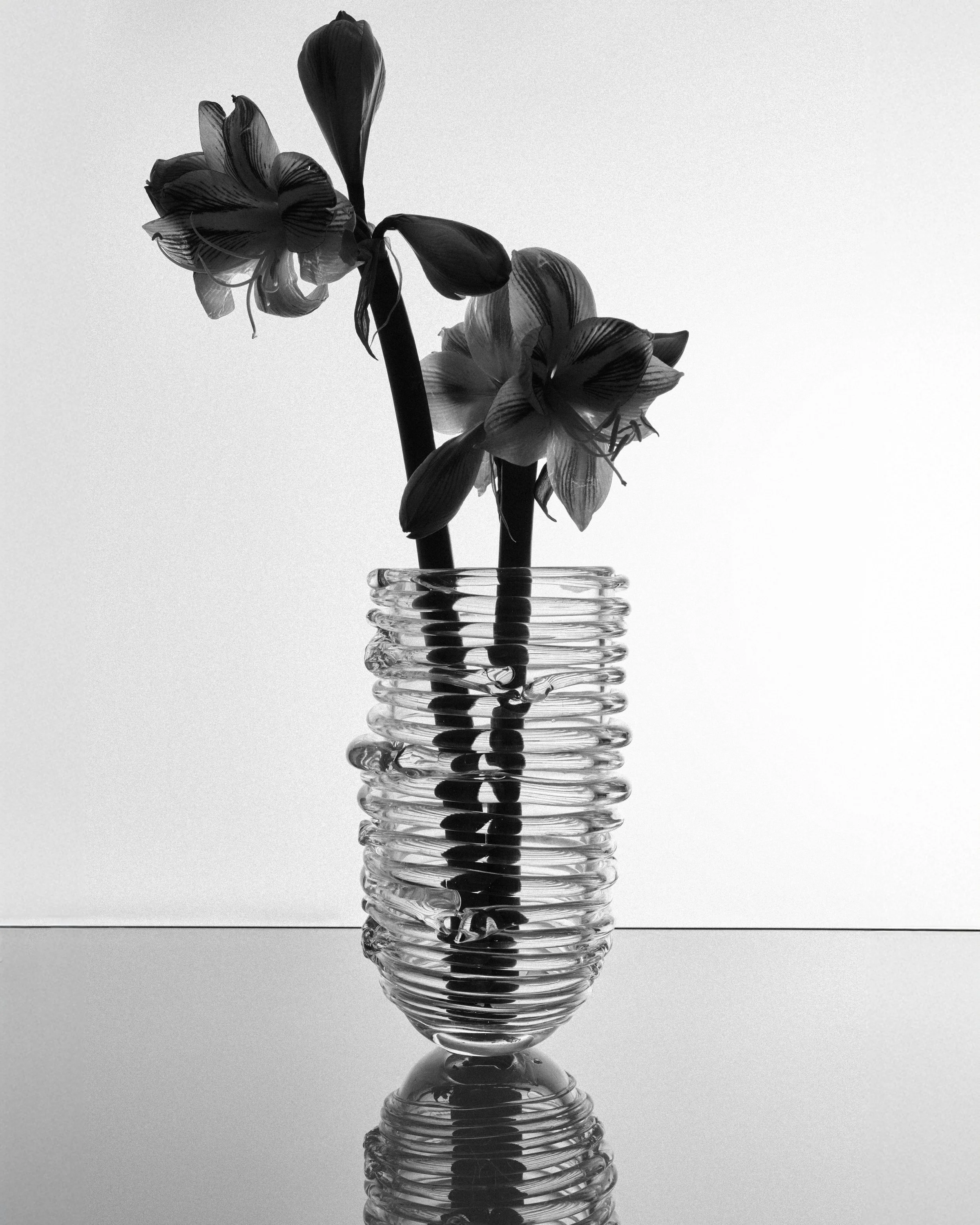 2222-GLASSCOLLECTION-5-instagram (1).jpg