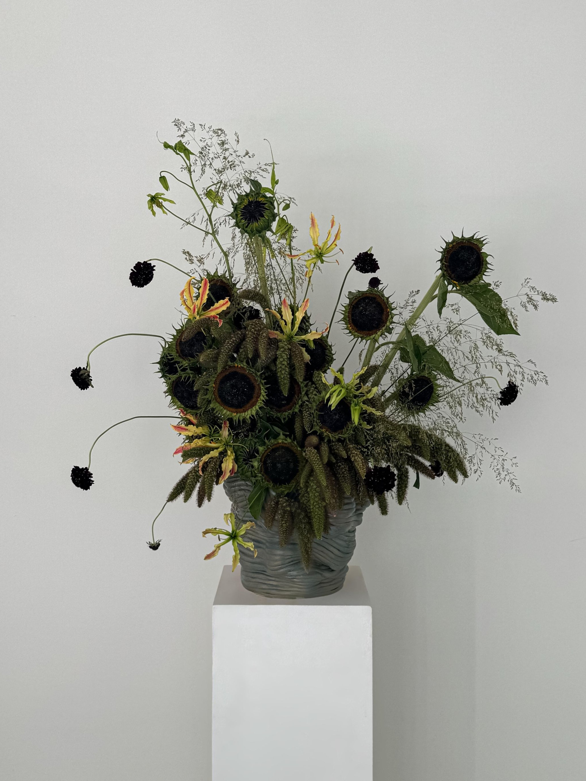 30e016ab-ab93-4d91-b634-eb7ed8336d5f.png
