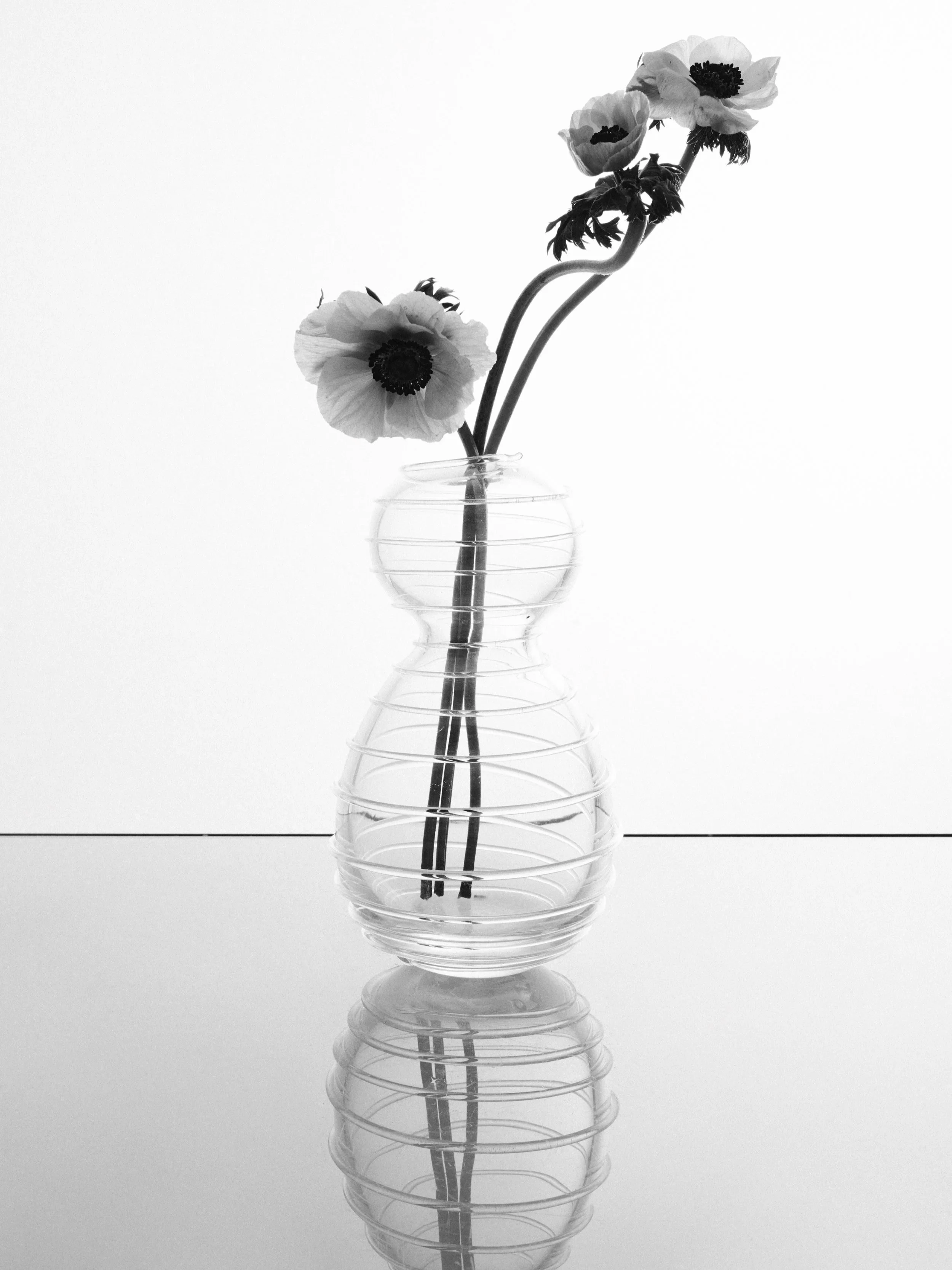 2222-studio-glass-12-1-zw.jpg