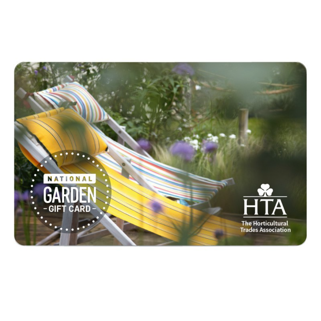 Sun Loungers Gift Card