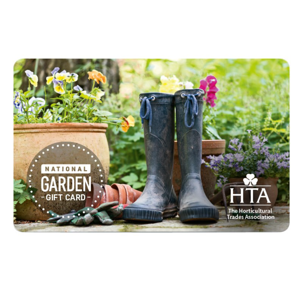 Wellie Boots Gift Card