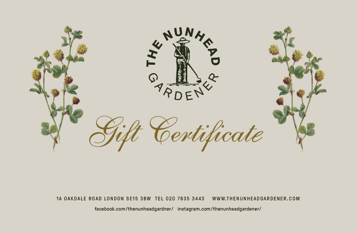 TNG Gift cert front.png