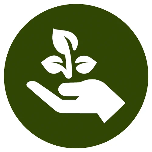 Copy of Growth / Spread