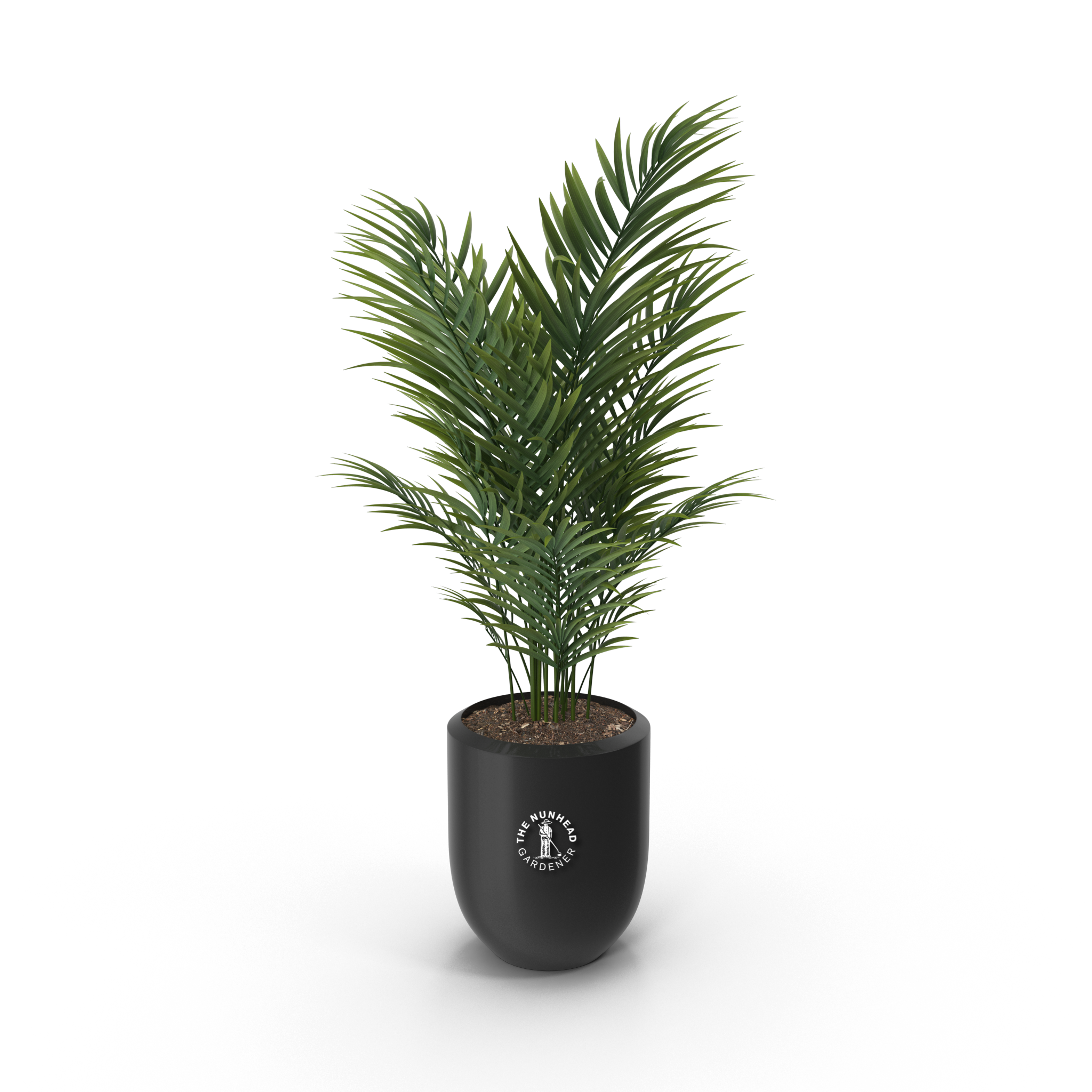 House%20Plant.H15.2k.png