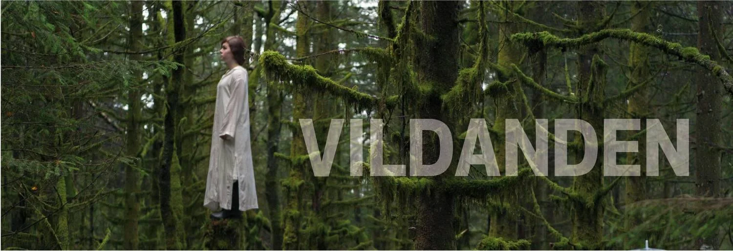 2016 Vildanen FB.jpg
