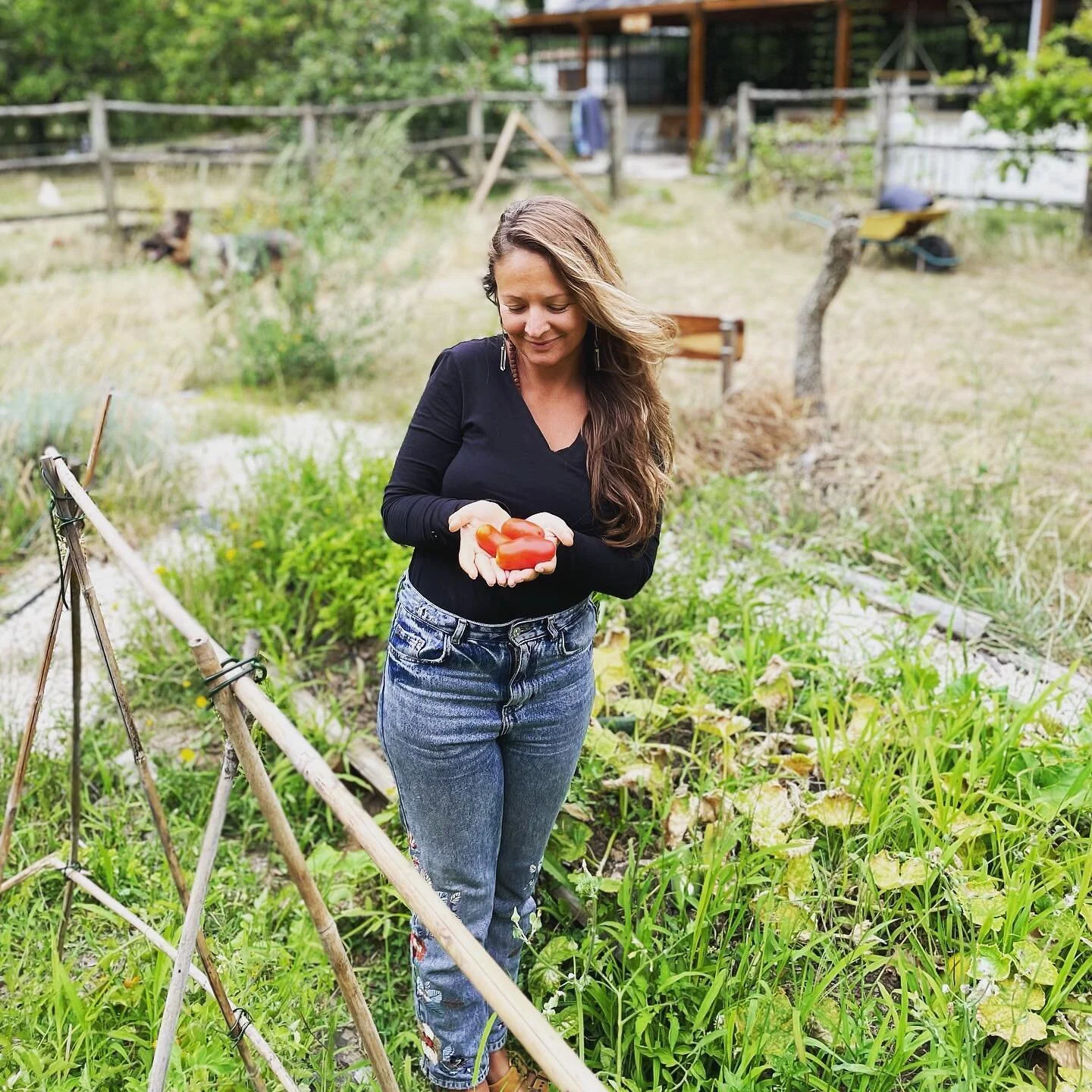 I feed my wild
With dirt in my nails
While tending to the Earth 
I contemplate on how peaceful 
the revolution would be
If we not only protested on streets 
but also on the grounds of our gardens
Reclaiming our ancestors practice 
Of growing our own