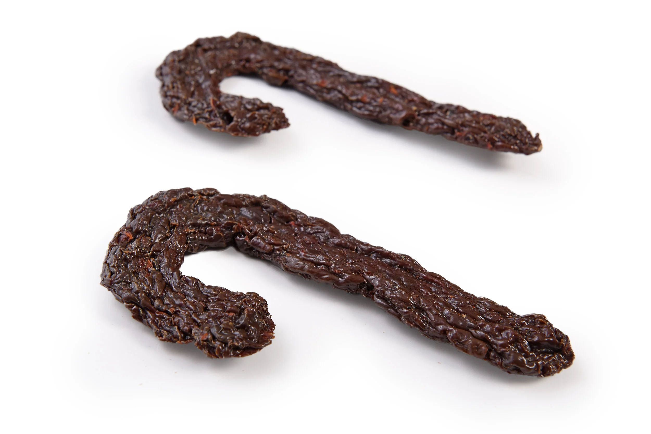 fuzzy beast studio 143.JPG