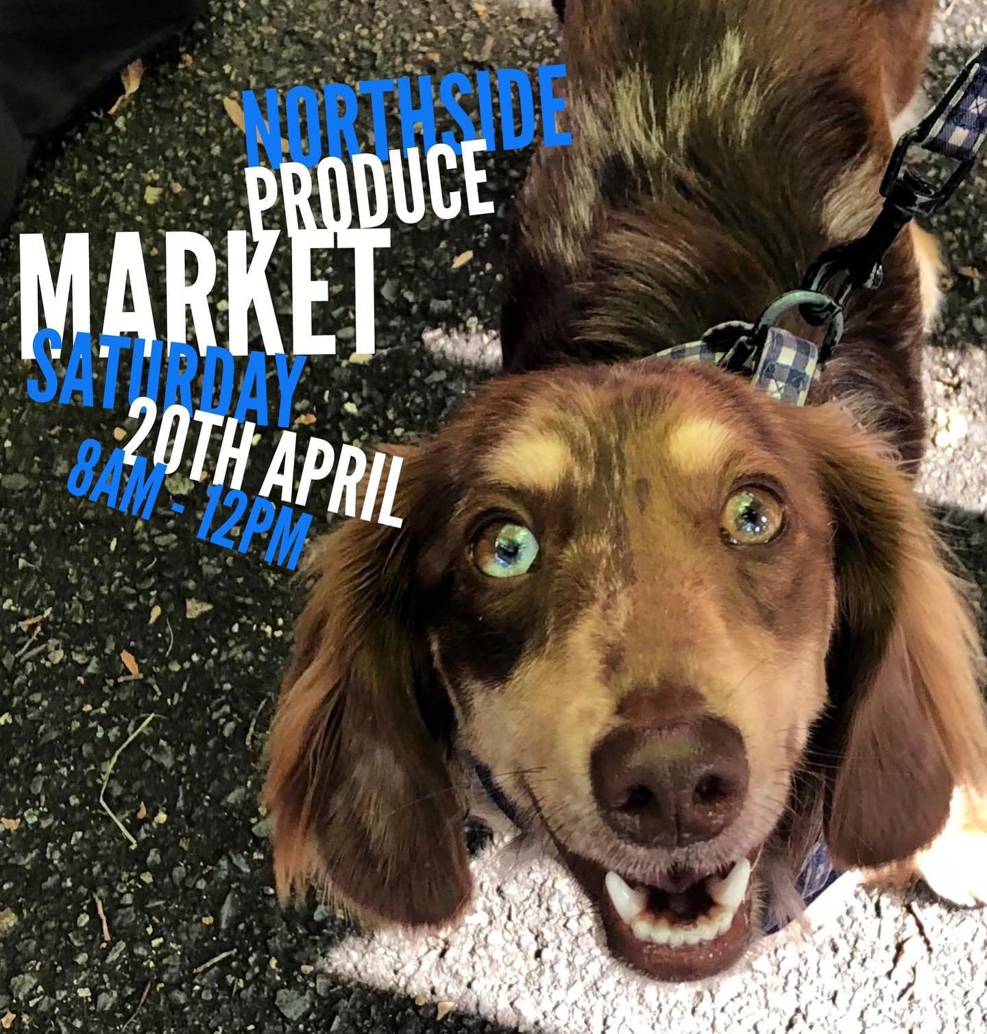 All your faves puppers at @nthsydmkts tomorrow from 8am until 12pm
#northsydney #northsydneylife #northsydneyliving #nthsydmkts 
.
.
#healthyhoundtreats #healthydogtreats #dogtreats #naturaldogtreats #handmadeinsydney #plasticfree #sydneydogs #dogsof