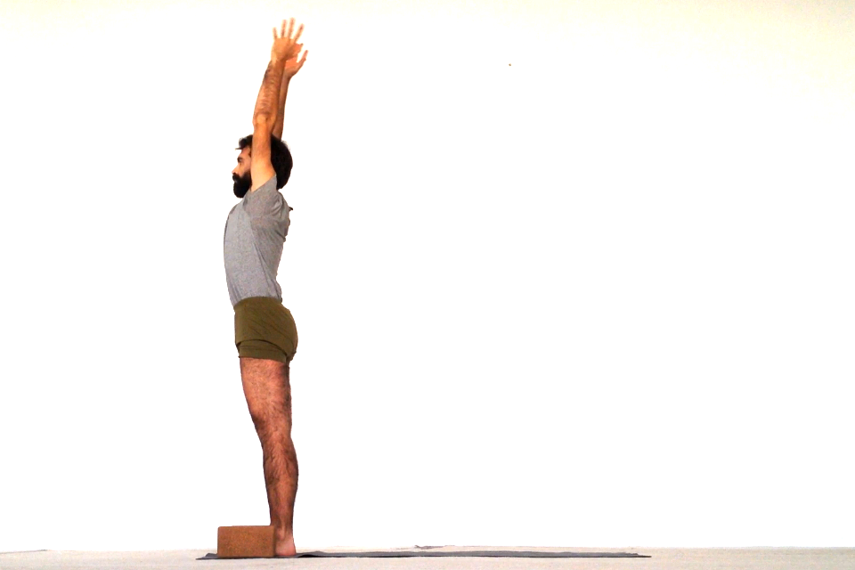02urdhvahastasana.png