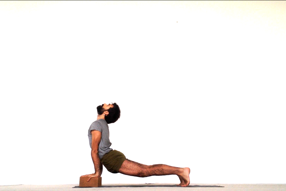 09urdhvamukhasvanasana.png