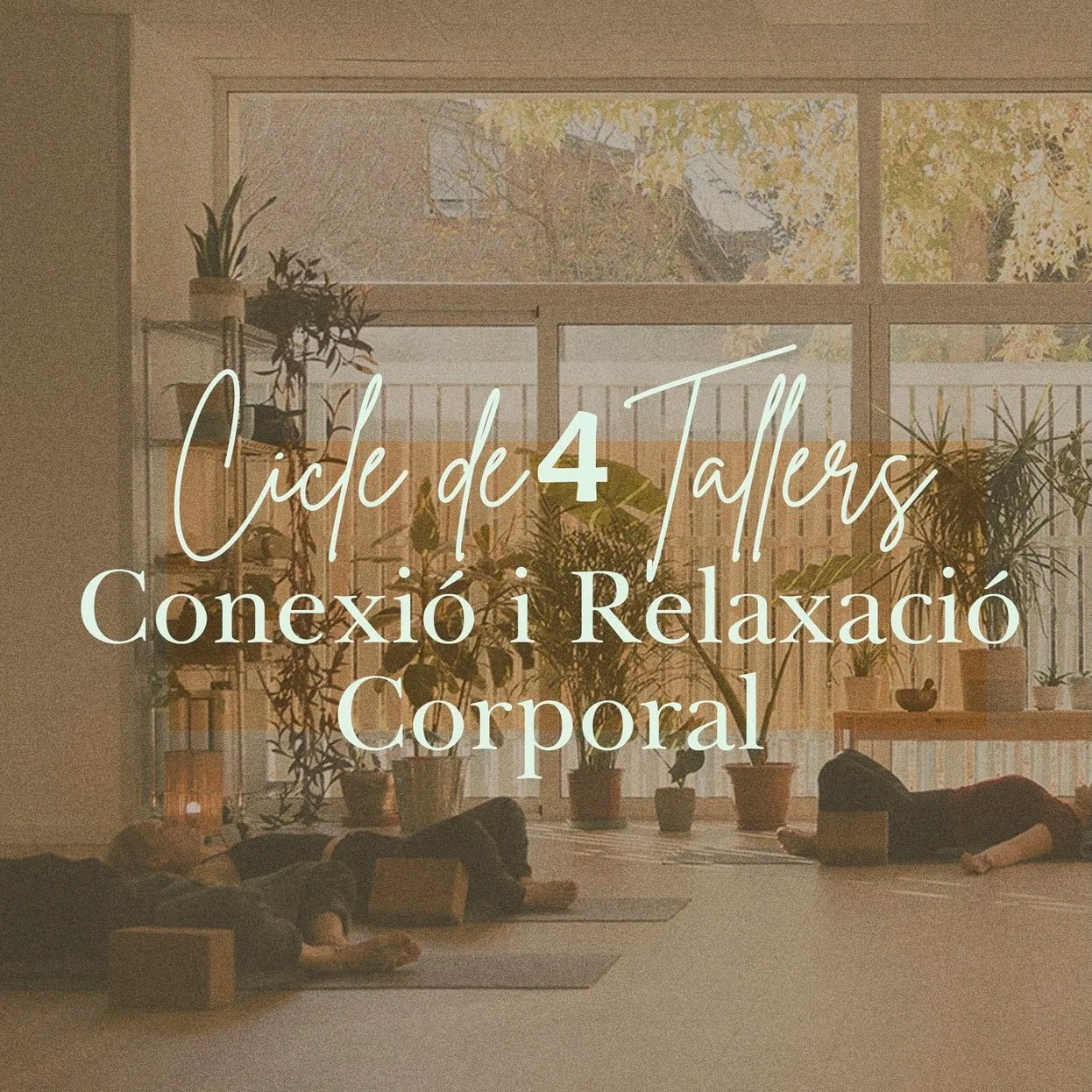 Cicle de connexió i relaxació corporal amb la Natàlia