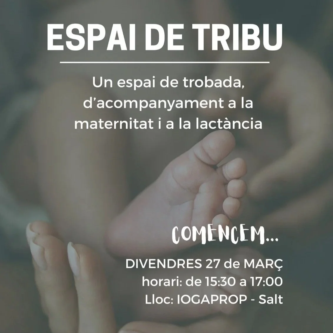 ESPAI DE TRIBU amb Agda