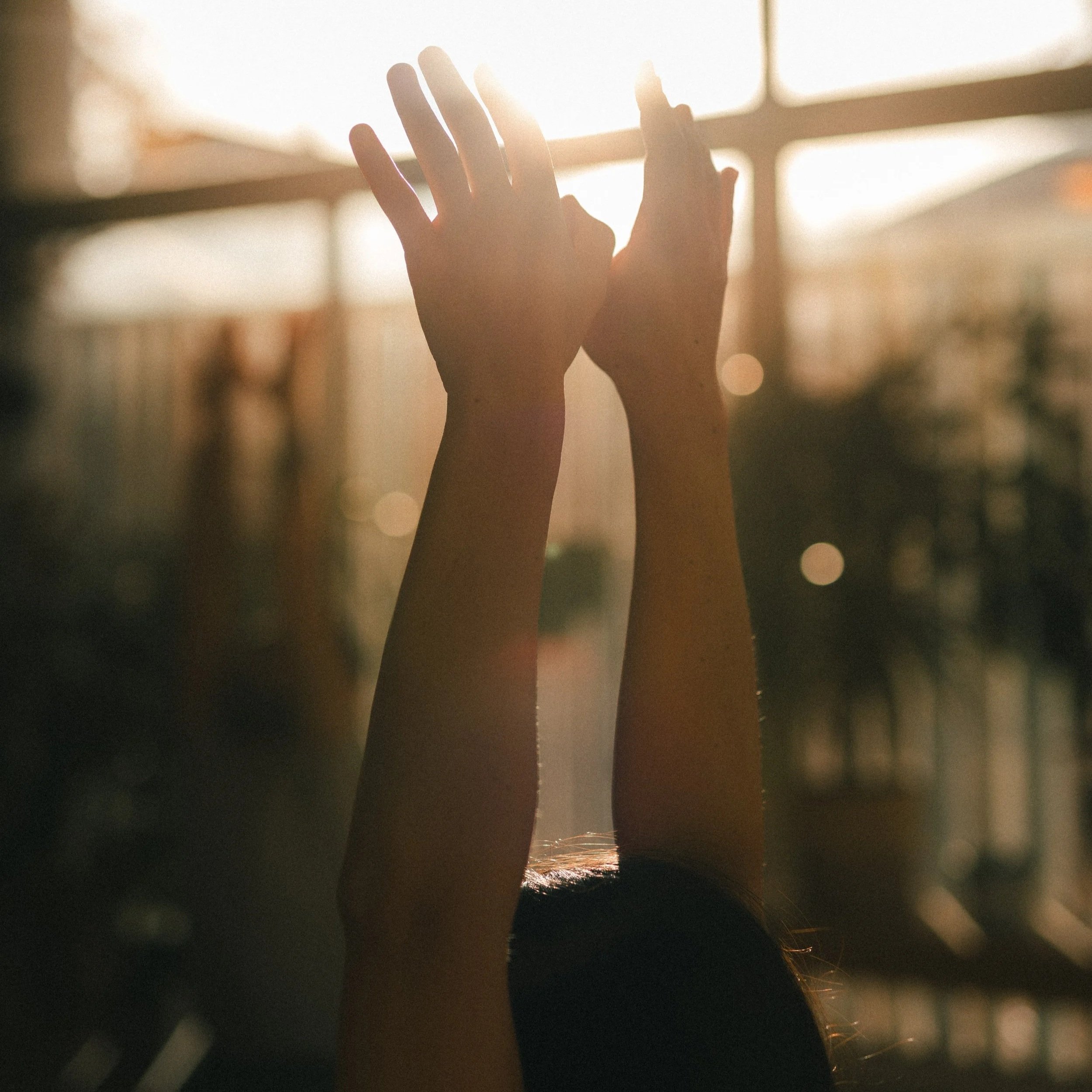 Els cicles en la nostra pràctica.