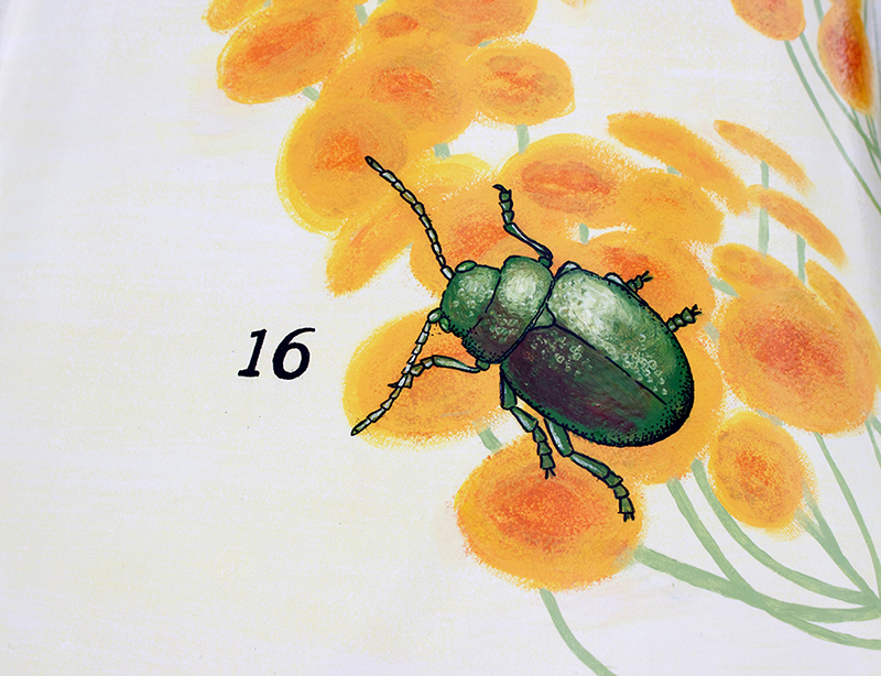 tansy-beetle.jpg